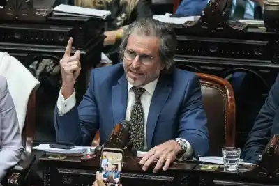 Benegas Lynch defendió la “Ley Hojarasca” y apuntó contra 40 años de “bochorno legislativo”