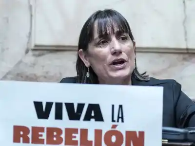 Romina Del Plá destrozó la “Ley Hojarasca” de Milei y reveló el verdadero objetivo detrás de la desregulación