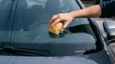 El insólito truco con una papa que promete acabar con los vidrios empañados del auto