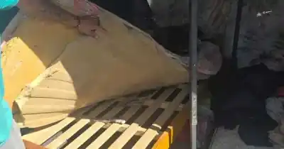 Se escondieron en un descampado al ver a la policía: el insólito hallazgo bajo un colchón