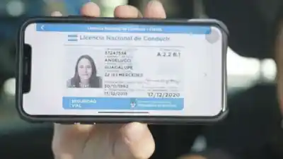 Proyecto en Bahía Blanca: quieren que los inspectores acepten el carnet de conducir digital
