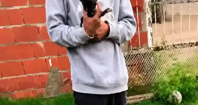 Video escalofriante: un adolescente de 14 años mató a un gato a golpes y ahora buscan a la cómplice que filmó todo