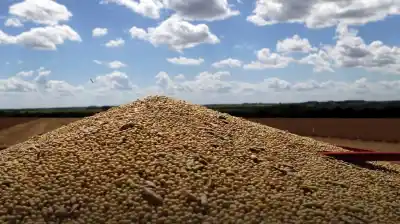 El dato que movió el mercado de granos: la soja pegó un salto y no para de subir