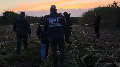 Encontraron restos humanos en unos cañaverales de Concepción