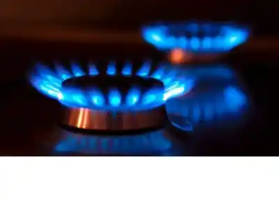 El trámite clave que tenés que hacer YA para no perder el subsidio de luz y gas