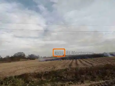 Otra quema de rastrojo en Monteros