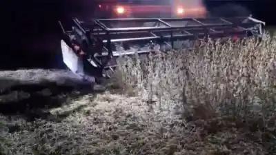 El suelo se mueve: lo que ocurre en un campo de Los Juríes cuando pasan las cosechadoras