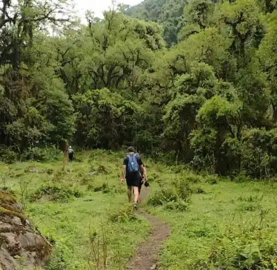 Explora la belleza de las Ecosendas de Tucumán