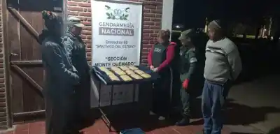 Viajaba en colectivo con 12 kilos de cocaína y un detalle que la delató