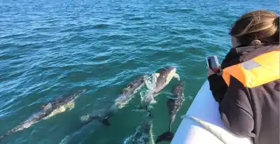 Kayakista vivió momentos de terror en Bahía Rosas: una orca se le acercó a toda velocidad