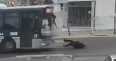 Cruzaba por la senda peatonal y un colectivo lo arrolló: la víctima, de 70 años, sufrió un ACV