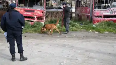 Vecinos encontraron un cuerpo descuartizado en un barranco de Bariloche y la policía tiene una hipótesis escalofriante