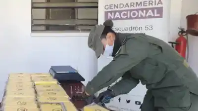 Ocultaron 25 kilos de cocaína en el tanque de combustible y un perro los delató