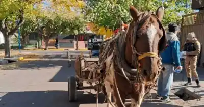 Rescataron un caballo en Guaymallén: lo que hallaron en el control dejó en shock a los policías