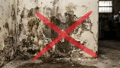 El error fatal que cometen todos al querer tapar la humedad de la pared
