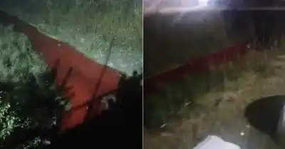 El Zanjón de Casilda amaneció rojo: denuncian vertidos de sangre de un frigorífico