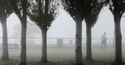 Niebla implacable: el sur de Santa Fe bajo alerta violeta y las rutas, un peligro