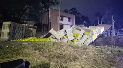 El acoplado se soltó y cayó en una acequia: lo que pasó después sorprendió a todos