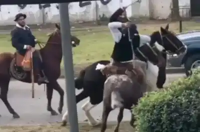 Pelea a rebenques en pleno desfile patrio: dos jinetes se enfrentaron a golpes en Berazategui