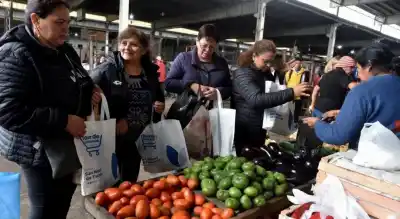 Crisis en el campo tucumano: lo que reveló el presidente del Mercofrut sobre las ventas y el consumo