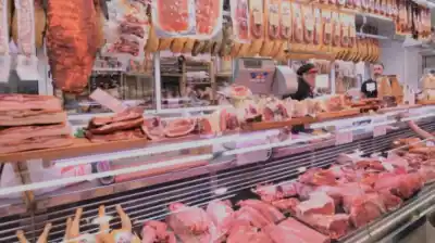 El polémico debate sobre la carne de burro en Argentina: ¿por qué no se puede vender?