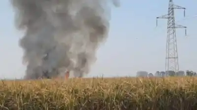 Ardieron Cañas de Azúcar cercana a la Red de Alta Tensión en Villa Quinteros