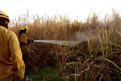 “Quema de Caña Alertó a los Bomberos Voluntarios de Monteros”