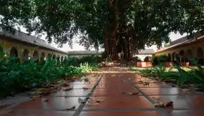 Entraron a robar a un hogar de ancianos y lo que intentaron llevarse provocó indignación