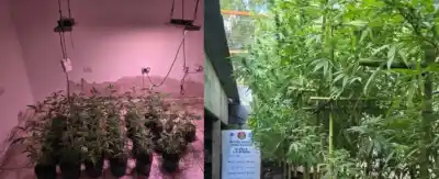 Allanaron dos casas y lo que hallaron adentro dejó helada a la policía