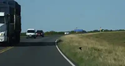 Apareció en la ruta 174 la mujer de Oliveros que era intensamente buscada: el hallazgo que conmocionó a la región