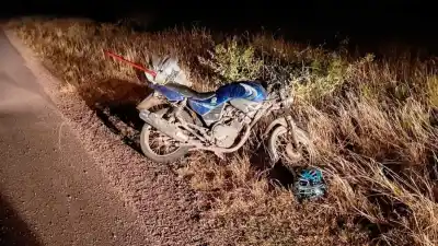 Chocó contra un caballo en la ruta y el impacto lo mandó al hospital