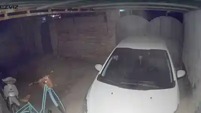 Vecina de Las Termas vivió una pesadilla: lo que las cámaras revelaron sobre el ataque a su casa
