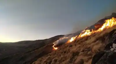 Miles de Hectáreas consumidas por el Fuego en Tafí del Valle