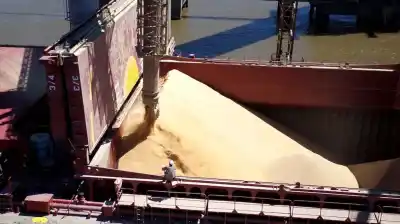 La agroindustria aceleró la liquidación de divisas en mayo: 7% más que en abril