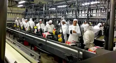 El Gobierno reglamentó el fondo para indemnizaciones: cómo funcionará y quiénes acceden