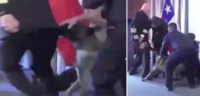Un perro antidrogas se abalanzó sobre el bolsillo de un vicealmirante durante una ceremonia en Chile