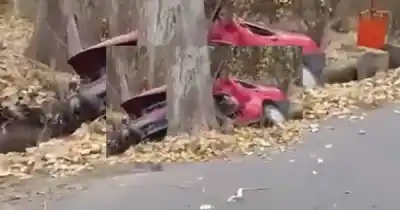 Perdió el control de su auto, chocó contra un árbol y terminó en una acequia: el trágico desenlace en Guaymallén