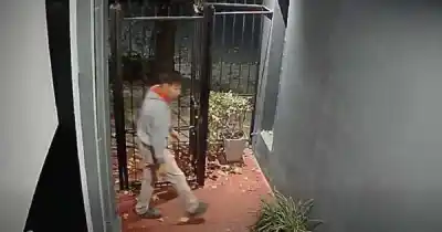 Roban macetas en la Sexta Sección y las cámaras captaron todo: el insólito botín que buscan los ladrones
