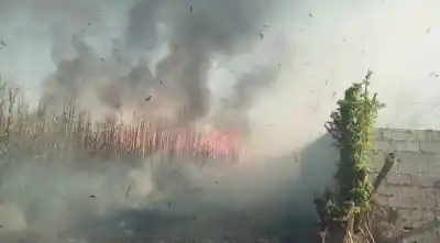 VIDEO| La Quema de Cañaverales vuelven a ser un Infierno en Monteros