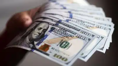 Cuentas en dolares que pagan intereses: la alternativa que gana terreno entre los ahorristas