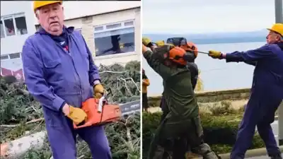 Con mameluco y motosierra: el intendente de Bariloche salió a talar los pinos históricos de la costanera