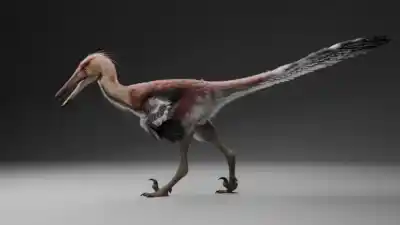 Hallaron en la Patagonia una nueva especie de dinosaurio raptor: tiene un nombre que rinde homenaje a los tehuelches