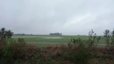 El invierno que viene trae lluvias y calor: el dato que ilusiona al campo
