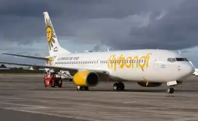 Operaban con un solo avión y cancelaron más de 2500 vuelos: la crisis que estremece a la aerolínea low cost