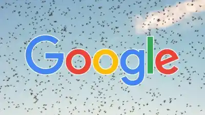 El polémico plan de Google para liberar 64 millones de mosquitos modificados en EE.UU.