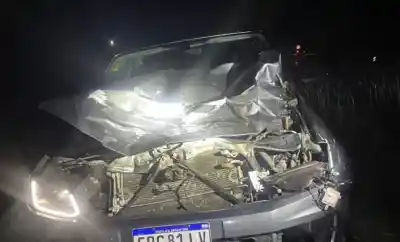 Iba manejando y de repente un animal apareció en la ruta: el impacto destrozó su camioneta