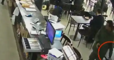 Robó un celular en un bar de la terminal, quedó filmado y dos semanas después cayó mientras desayunaba en el mismo lugar