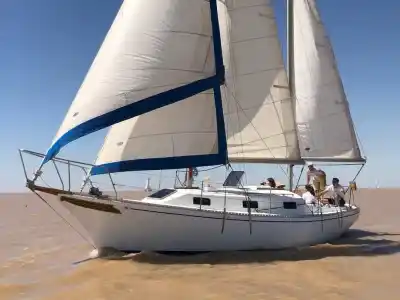 Navegación privada en velero: el plan exclusivo para descubrir el Delta desde el río Tigre