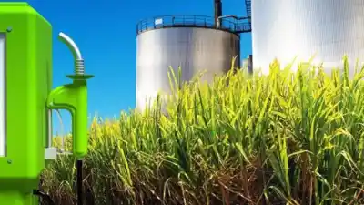 El debate por los biocombustibles reaviva la pelea entre el Norte y el centro del país