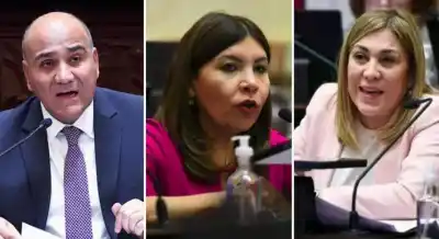 El pliego que desafió a Milei: los tres senadores tucumanos votaron a favor de Michelli